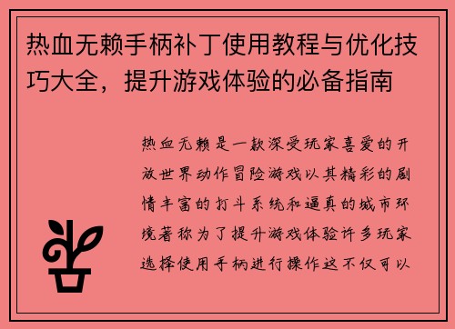 热血无赖手柄补丁使用教程与优化技巧大全，提升游戏体验的必备指南